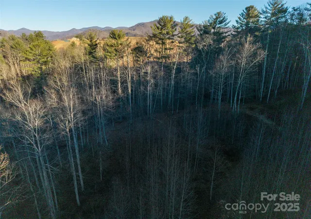 8th image of 00 Eaglecrest Ln, Waynesville, NC 28785 | MLS# 4328692