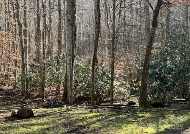 Photo 3 of Single family home for sale at 80 Larkspur Ln, Cullowhee, NC 28723 | MLS# 4328711 | Listing updated on 2026-07-24