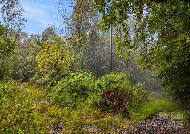 Homes for sale in Hendersonville, NC | O Kilpatrick Rd, Hendersonville, NC 28739 | MLS# 4329026