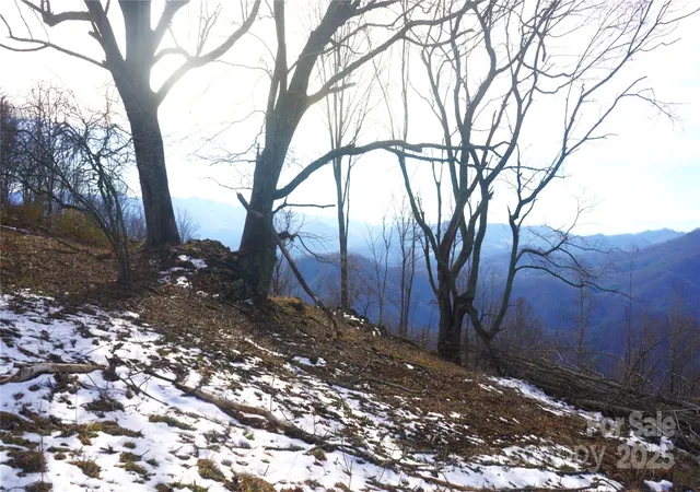Photo 1 of Land for sale at Sr 1386 W Sang Branch Hog Rd, Burnsville, NC 28714 | MLS# 4329034 | Listing updated on 2026-03-31