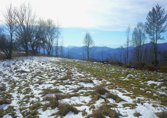 Photo 2 of Land for sale at Sr 1386 W Sang Branch Hog Rd, Burnsville, NC 28714 | MLS# 4329034 | Listing updated on 2026-03-31
