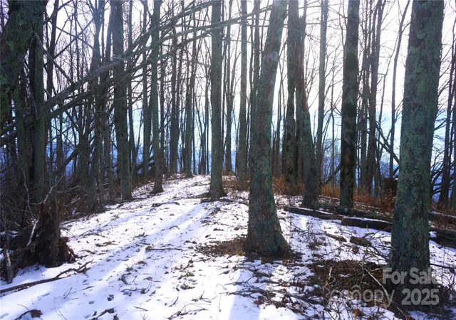 Photo 3 of Land for sale at Sr-1386 W Sang Branch Hog Rd, Burnsville, NC 28714 | MLS# 4329034 | Listing updated on 2026-03-31