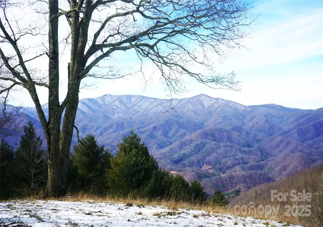 Photo 4 of Land for sale at Sr-1386 W Sang Branch Hog Rd, Burnsville, NC 28714 | MLS# 4329034 | Listing updated on 2026-03-31