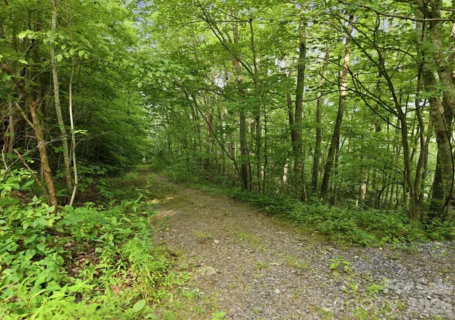 Photo 2 of Land for sale at 00 Seasons Dr #43, Clyde, NC 28721 | MLS# 4329065 | Listing updated on 2026-08-02