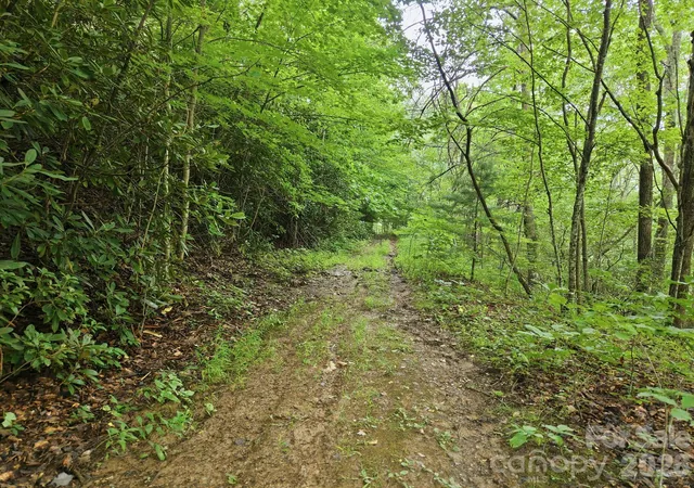 Photo 3 of Land for sale at 00 Seasons Dr #43, Clyde, NC 28721 | MLS# 4329065 | Listing updated on 2026-08-02