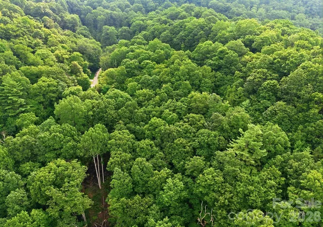 Photo 3 of Land for sale at 00 Seasons Dr #43, Clyde, NC 28721 | MLS# 4329065 | Listing updated on 2026-08-02