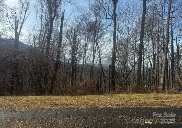 Homes for sale in Bakersville, NC | 0 Wild Turkey Rd #21, Bakersville, NC 28705 | MLS# 4329398