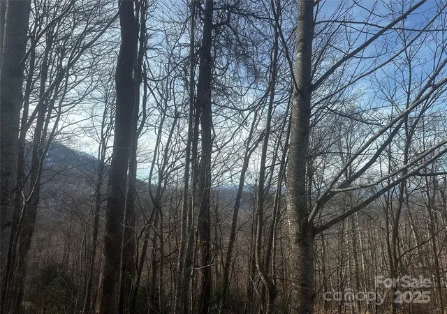 Homes for sale in Bakersville, NC | 0 Wild Turkey Rd #21, Bakersville, NC 28705 | MLS# 4329398