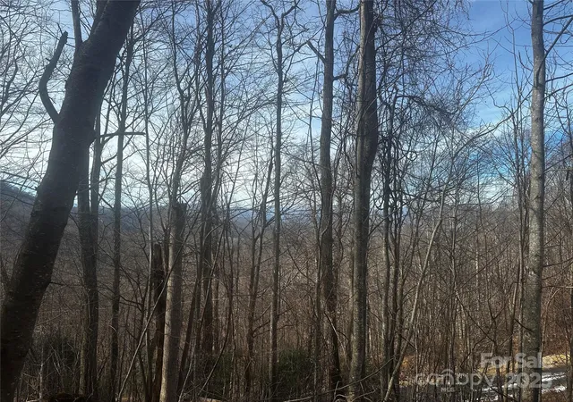 Homes for sale in Bakersville, NC | 0 Wild Turkey Rd #21, Bakersville, NC 28705 | MLS# 4329398