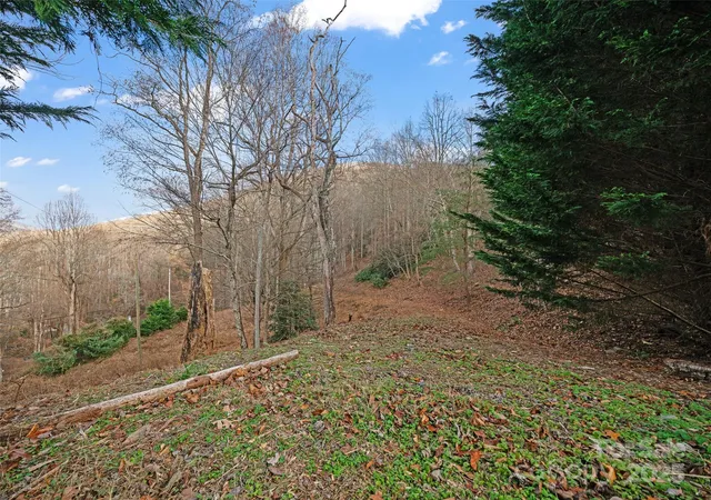 Photo 1 of Land for sale at 99999 Flora Rose Trl, Asheville, NC 28803 | MLS# 4329696 | Listing updated on 2025-12-31