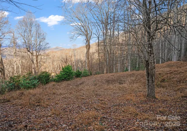 Photo 3 of Land for sale at 99999 Flora Rose Trl, Asheville, NC 28803 | MLS# 4329696 | Listing updated on 2025-12-31
