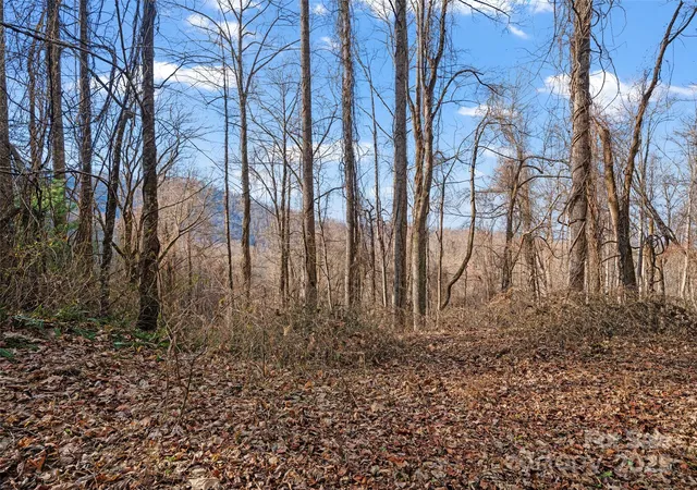 Photo 3 of Land for sale at 99999 Flora Rose Trl, Asheville, NC 28803 | MLS# 4329696 | Listing updated on 2025-12-31