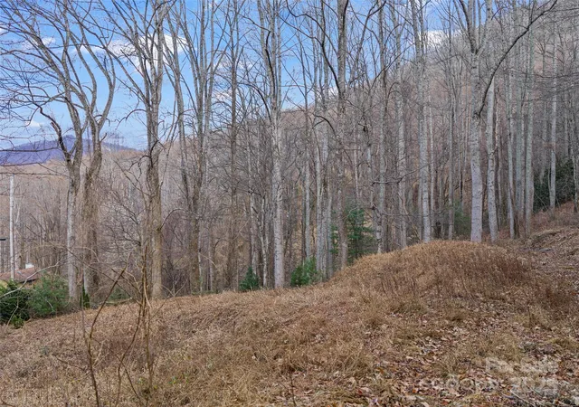 Photo 4 of Land for sale at 99999 Flora Rose Trl, Asheville, NC 28803 | MLS# 4329696 | Listing updated on 2025-12-31