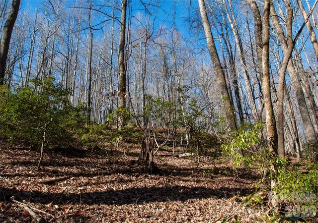 Photo 1 of Land for sale at Lot 26 Big Branch Rd, Brevard, NC 28712 | MLS# 4329807 | Listing updated on 2026-08-03