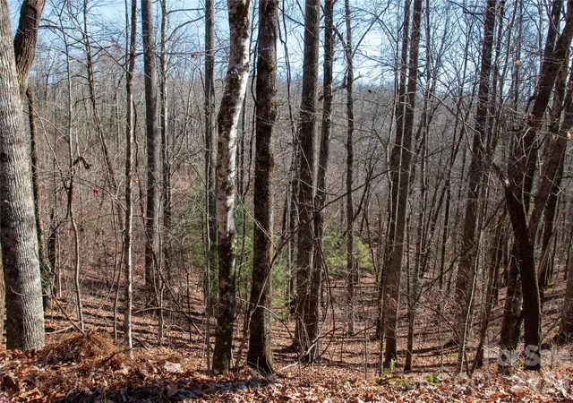 Photo 3 of Land for sale at Lot 26 Big Branch Rd, Brevard, NC 28712 | MLS# 4329807 | Listing updated on 2026-08-03