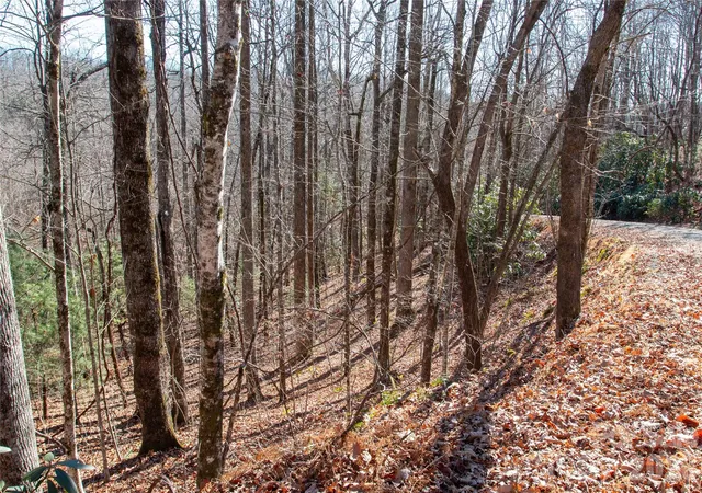 Photo 4 of Land for sale at Lot 26 Big Branch Rd, Brevard, NC 28712 | MLS# 4329807 | Listing updated on 2026-08-03