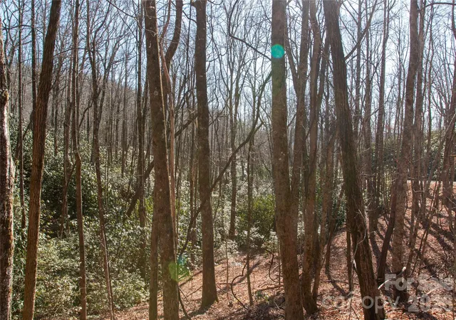 Photo 5 of Land for sale at Lot 26 Big Branch Rd, Brevard, NC 28712 | MLS# 4329807 | Listing updated on 2026-08-03