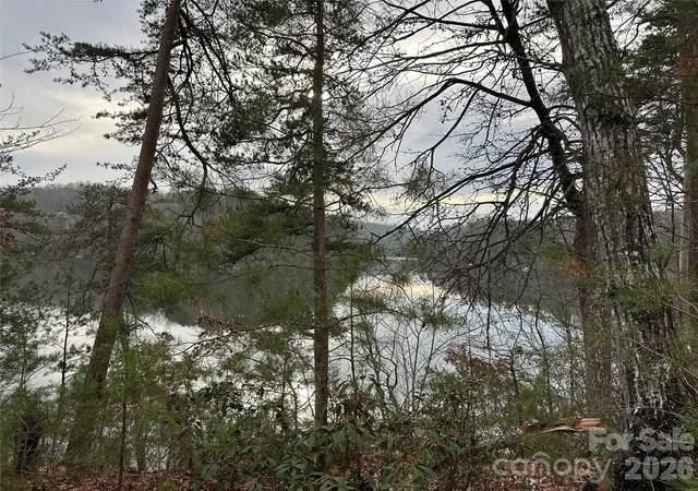 Homes for sale in Mill Spring, NC | 00 Jackson Cove Rd W, Mill Spring, NC 28756 | MLS# 4329870