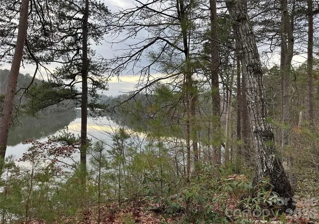 Homes for sale in Mill Spring, NC | 00 Jackson Cove Rd W, Mill Spring, NC 28756 | MLS# 4329870