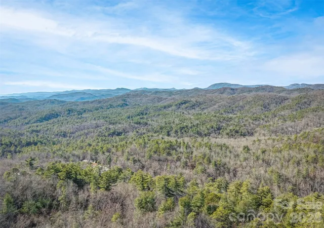 Homes for sale in Brevard, NC | 101 Ruffed Grouse Rd, Brevard, NC 28712 | MLS# 4330338