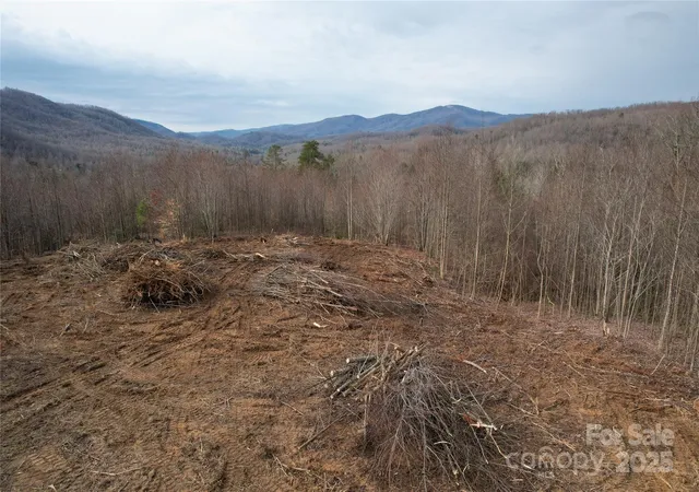 9th image of 99999 Old Fort Rd, Black Mountain, NC 28711 | MLS# 4330729