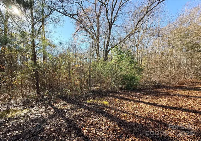 Homes for sale in Lancaster, SC | Lot 24 Avalon Ln #24, Lancaster, SC 29720 | MLS# 4330732