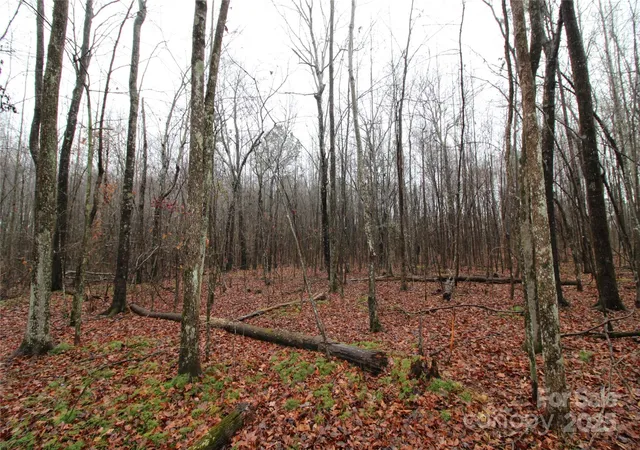 Photo 3 of Land for sale at 711+/ Ac Bess Rd #LOT J, Bessemer City, NC 28016 | MLS# 4331205 | Listing updated on 2026-06-09