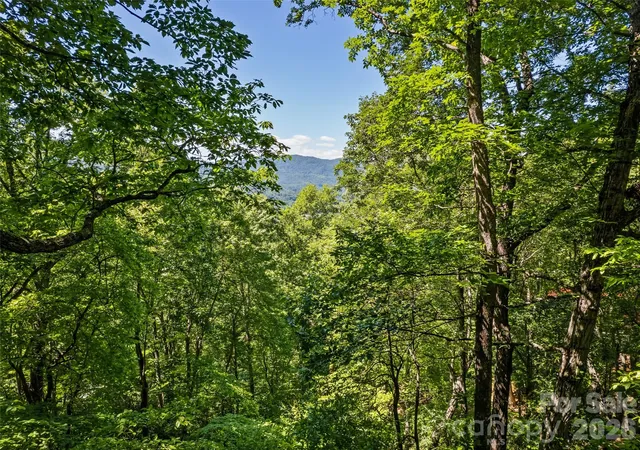 5th image of 1392 Mount Chalet Rd, Canton, NC 28716 | MLS# 4331307
