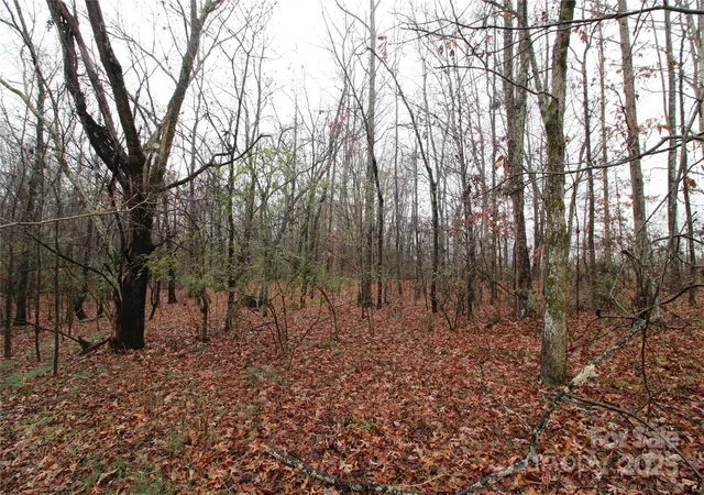 Photo 3 of Land for sale at 894+/ Ac Bess Rd #LOT L, Bessemer City, NC 28016 | MLS# 4331478 | Listing updated on 2026-06-09