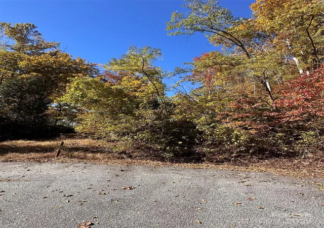 1st image of 000 Cascada Vista Dr, Chimney Rock, NC 28720 | MLS# 4331493