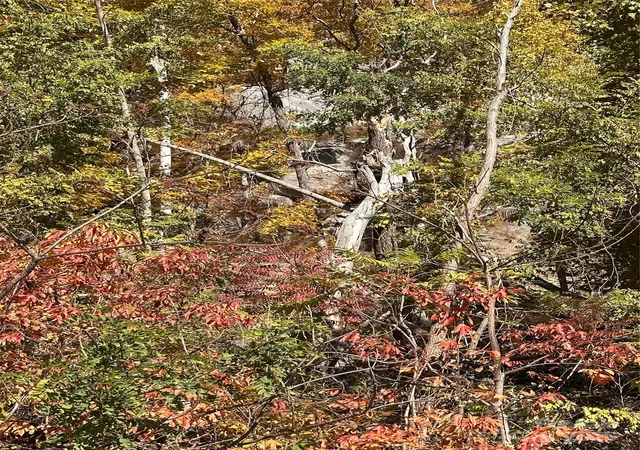2nd image of 000 Cascada Vista Dr, Chimney Rock, NC 28720 | MLS# 4331493