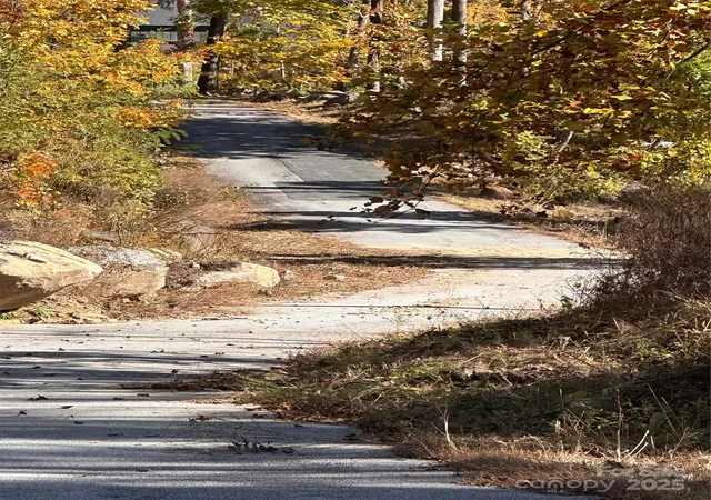 4th image of 000 Cascada Vista Dr, Chimney Rock, NC 28720 | MLS# 4331493