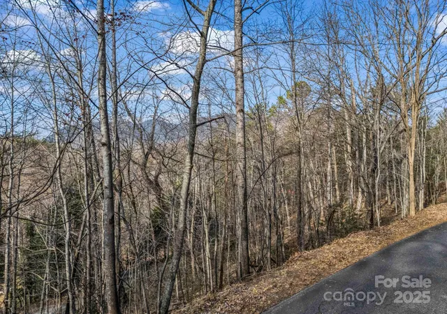2nd image of 0000 Holmes Rd, Lake Lure, NC 28746 | MLS# 4331598