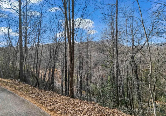 4th image of 0000 Holmes Rd, Lake Lure, NC 28746 | MLS# 4331598