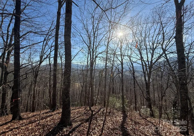 Photo 1 of Land for sale at Lot 13 Peter Rabbit Ln #13, Waynesville, NC 28785 | MLS# 4332169 | Listing updated on 2026-01-02
