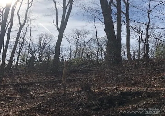 1st image of 000 Marshall Ridge Rd #78, Hendersonville, NC 28792 | MLS# 4332299