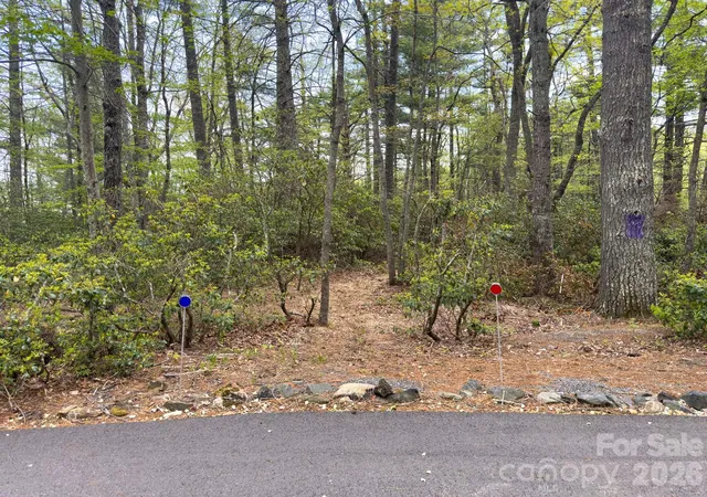 Photo 4 of Land for sale at Tbd Pine Point Rd, Spruce Pine, NC 28777 | MLS# 4332403 | Listing updated on 2026-08-15
