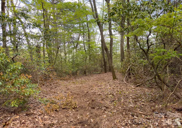 Photo 5 of Land for sale at Tbd Pine Point Rd, Spruce Pine, NC 28777 | MLS# 4332403 | Listing updated on 2026-08-15