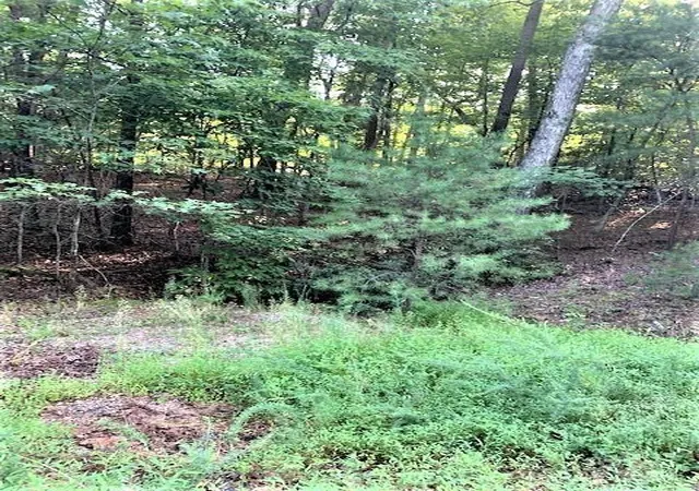 4th image of 0 E Swans Wy #262, Lake Lure, NC 28746 | MLS# 4332518
