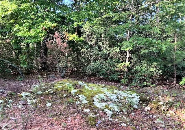 5th image of 0 E Swans Wy #262, Lake Lure, NC 28746 | MLS# 4332518
