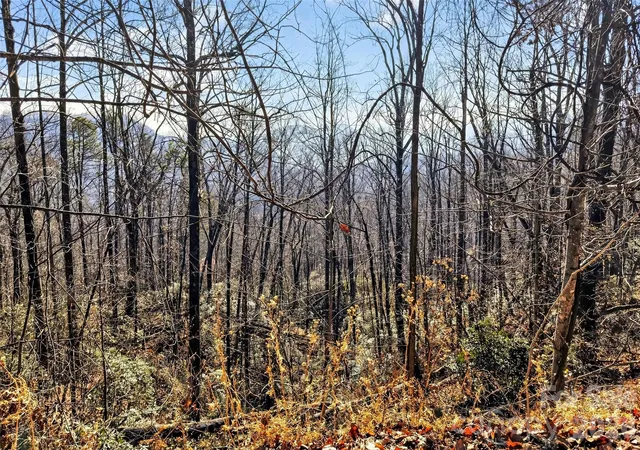 Photo 4 of Land for sale at 100 Wolf Pen Rd, Old Fort, NC 28762 | MLS# 4332524 | Listing updated on 2026-01-21