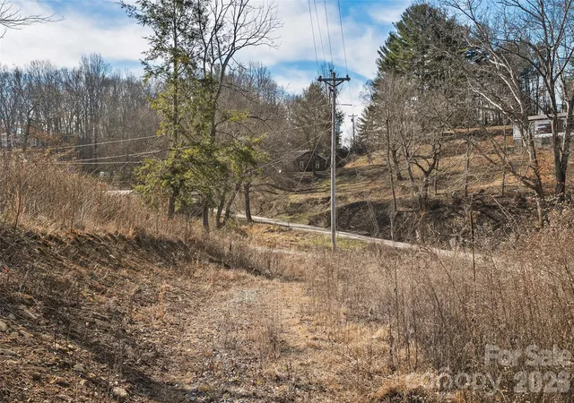 46th image of 347 Richland Creek Rd, Clyde, NC 28721 | MLS# 4332620
