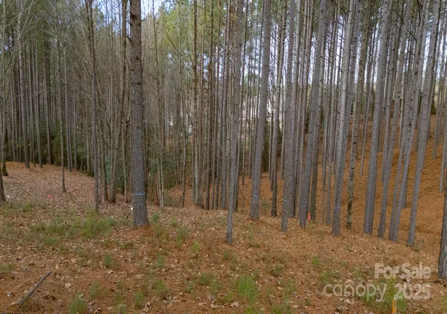 Photo 4 of Land for sale at 340 Gardner Point Dr, Stony Point, NC 28678 | MLS# 4332661 | Listing updated on 2026-03-16