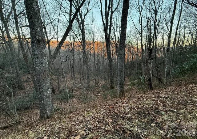 Homes for sale in Waynesville, NC | Lot 32 Bear Hollow Rd #32, Waynesville, NC 28785 | MLS# 4332900