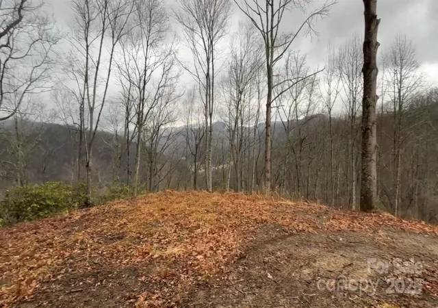 18th image of 000 Wayward Cvs, Clyde, NC 28721 | MLS# 4333468