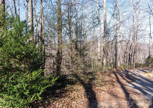 Photo 1 of Land for sale at 00 Mountain Page Rd #17,18,19, Saluda, NC 28773 | MLS# 4333549 | Listing updated on 2026-10-09