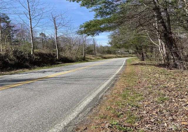 15th image of 1 Pink Fox Cove Rd, Weaverville, NC 28787 | MLS# 4333736