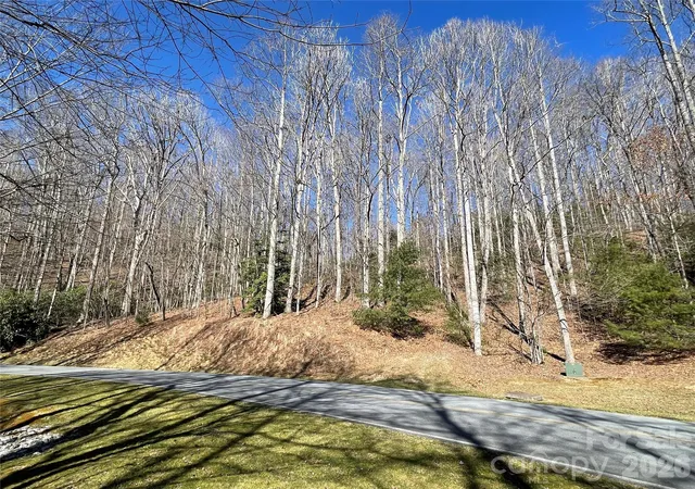 1st image of 00 Chattooga Run #292R, Hendersonville, NC 28739 | MLS# 4333827