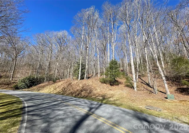 2nd image of 00 Chattooga Run #292R, Hendersonville, NC 28739 | MLS# 4333827