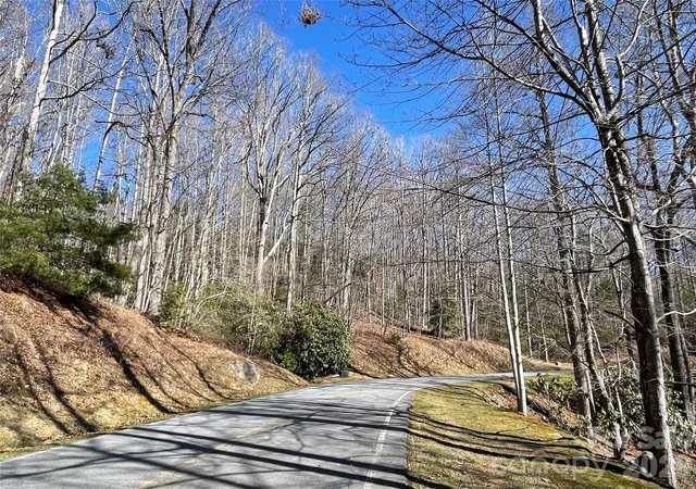 3rd image of 00 Chattooga Run #292R, Hendersonville, NC 28739 | MLS# 4333827